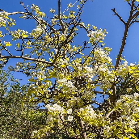 Pear Tree Cottage Wirksworth Ngoại thất bức ảnh